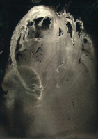 http://www.actionaqua.com/files/gimgs/th-121_Scan 11invert_v2.jpg